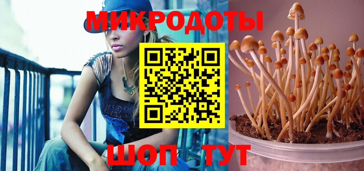 Галлюциногенные грибы MAGIC MUSHROOMS Ульяновск