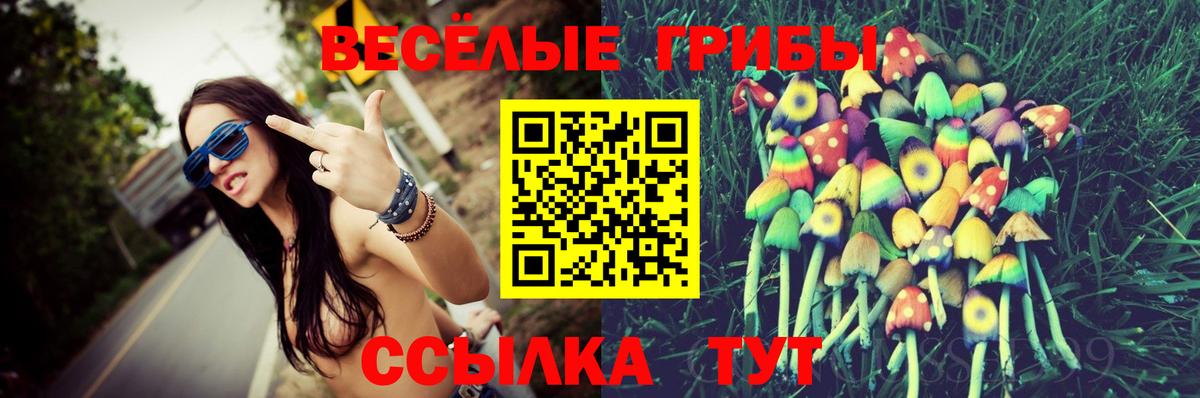 Псилоцибиновые грибы Psilocybine cubensis  Вход с VPN  где купить   Ульяновск 